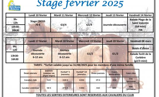 stage février 2026